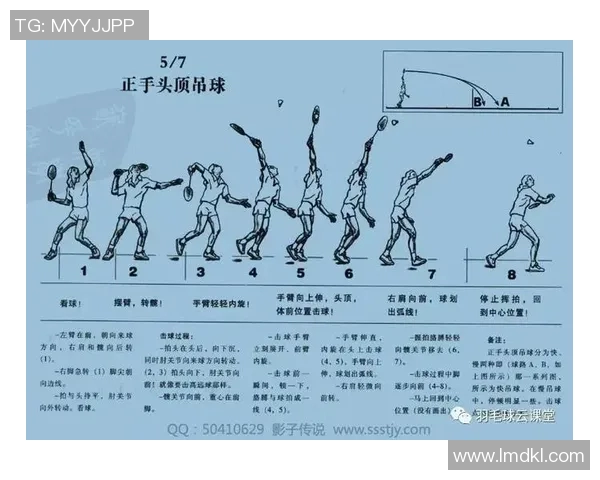 重庆羽毛球队进攻体系解析与战术运用探讨